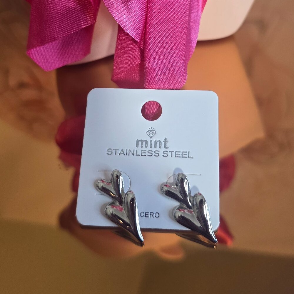 Double Heart Earrings Stainless Steel (Silver)